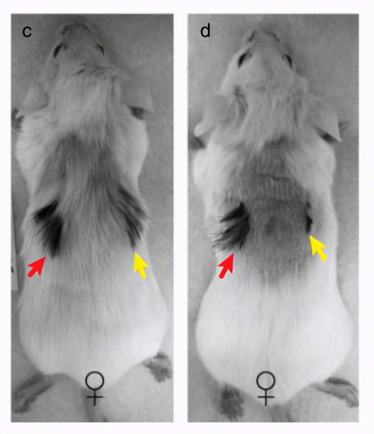 科研人员激动痛哭,头秃的真相