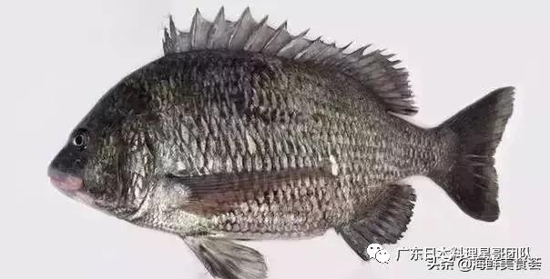 这5种淡水鱼值得多吃,中国最好吃的鱼类排行榜