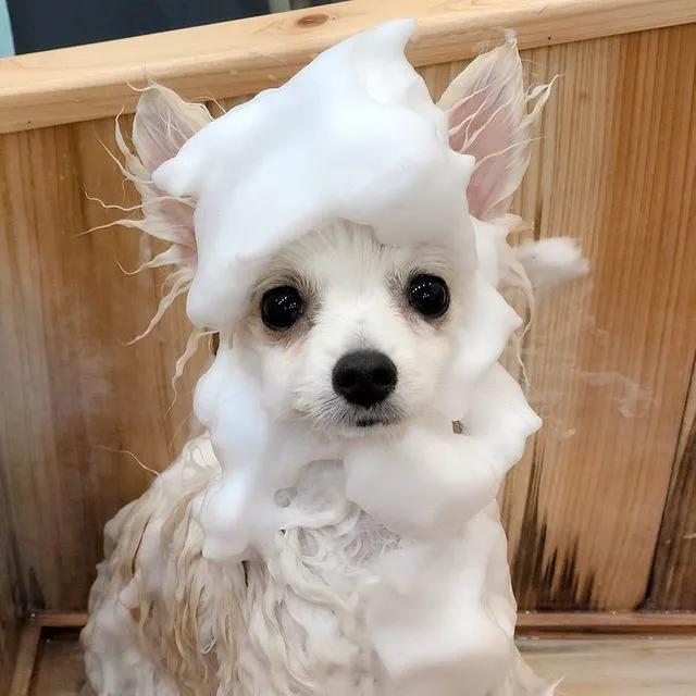 tony老师高阶换头术,90后tony老师换头术