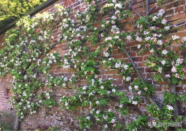 鍥壓鍒涙剰閫犲瀷鐩嗘櫙,鍥壓鐩嗘櫙鍒涙剰璁捐