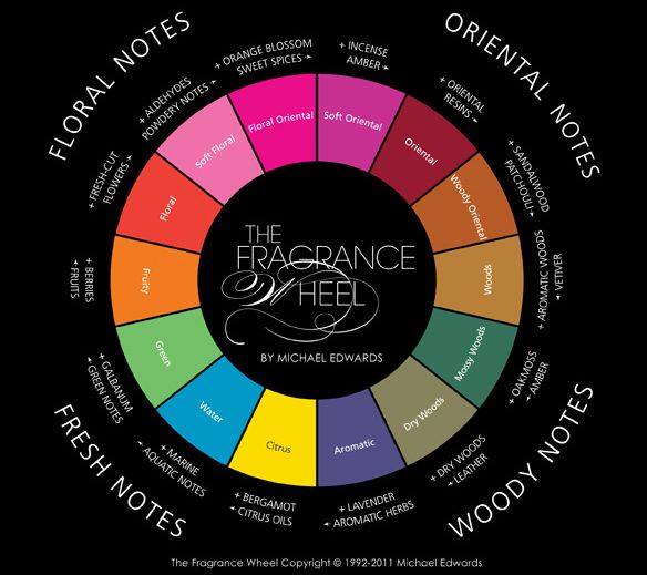 香水入门在线阅读,香水入门指南