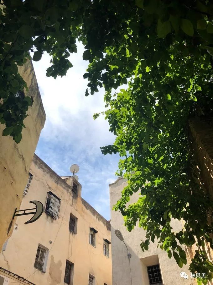 15天快速减肥10斤懒人,摩洛哥12天瘦5斤减肥成功案例