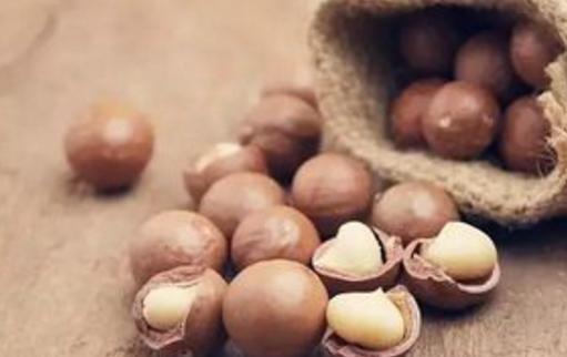 狗狗超喜欢的几种食物其实有剧毒,狗狗喜欢吃的宠物零食