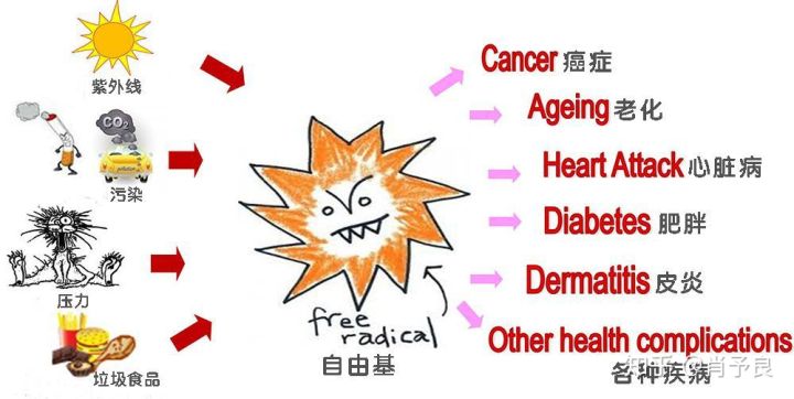 抗氧化精华油推荐,十大好用抗氧化精华