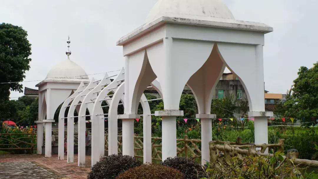 直击莆田荔枝采摘现场,莆田荔枝现摘