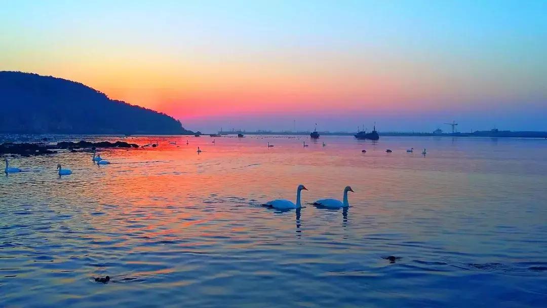 北方冬季适合吃的海鲜,北方冬天适合去的海滨小城