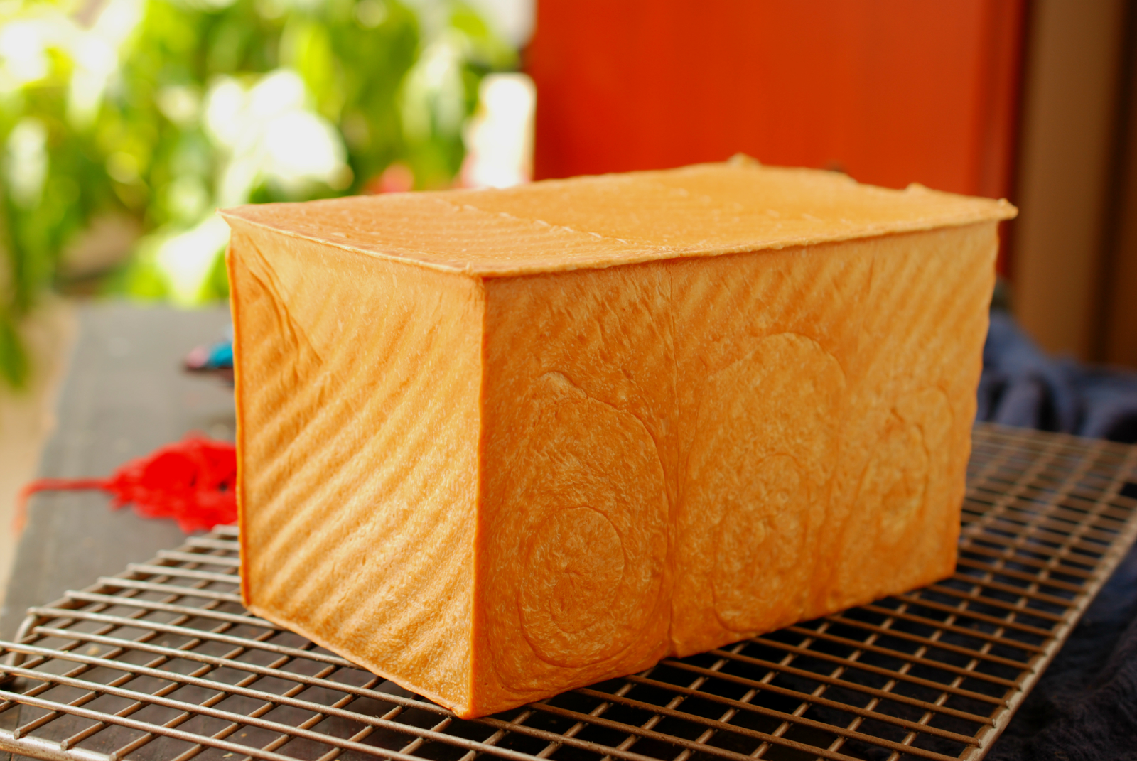 一次发酵的椰蓉吐司,一次发酵葡萄干吐司