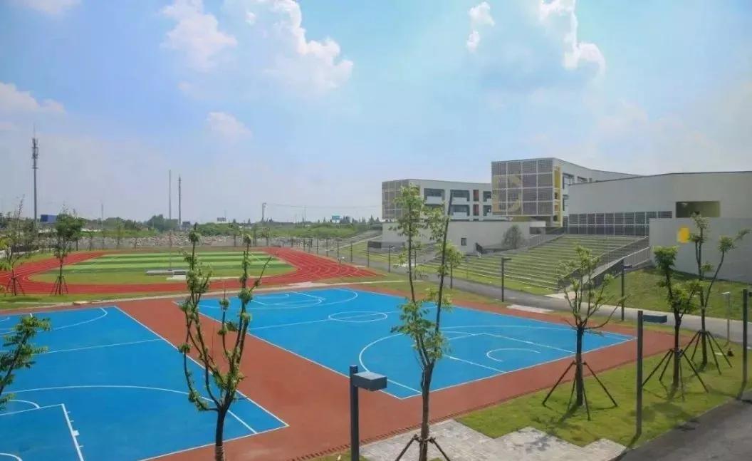 上海新晋10所黑马小学大盘点,上海最出名的十所小学