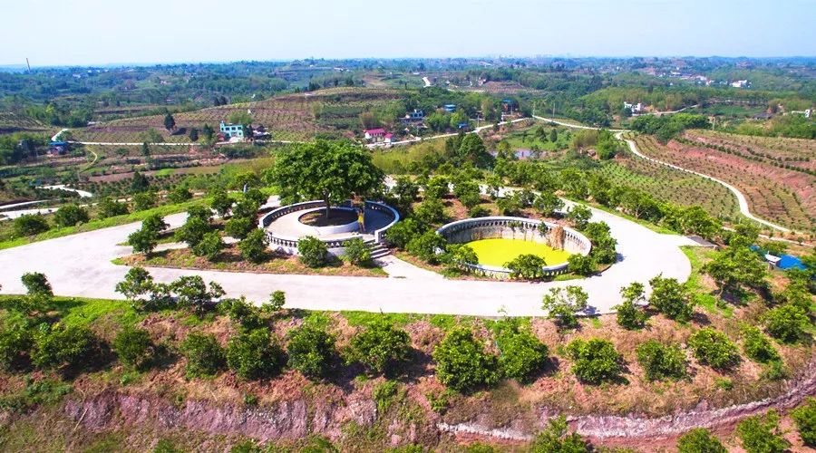 井研特产爱媛耙耙柑,四川乐山井研集益耙耙柑