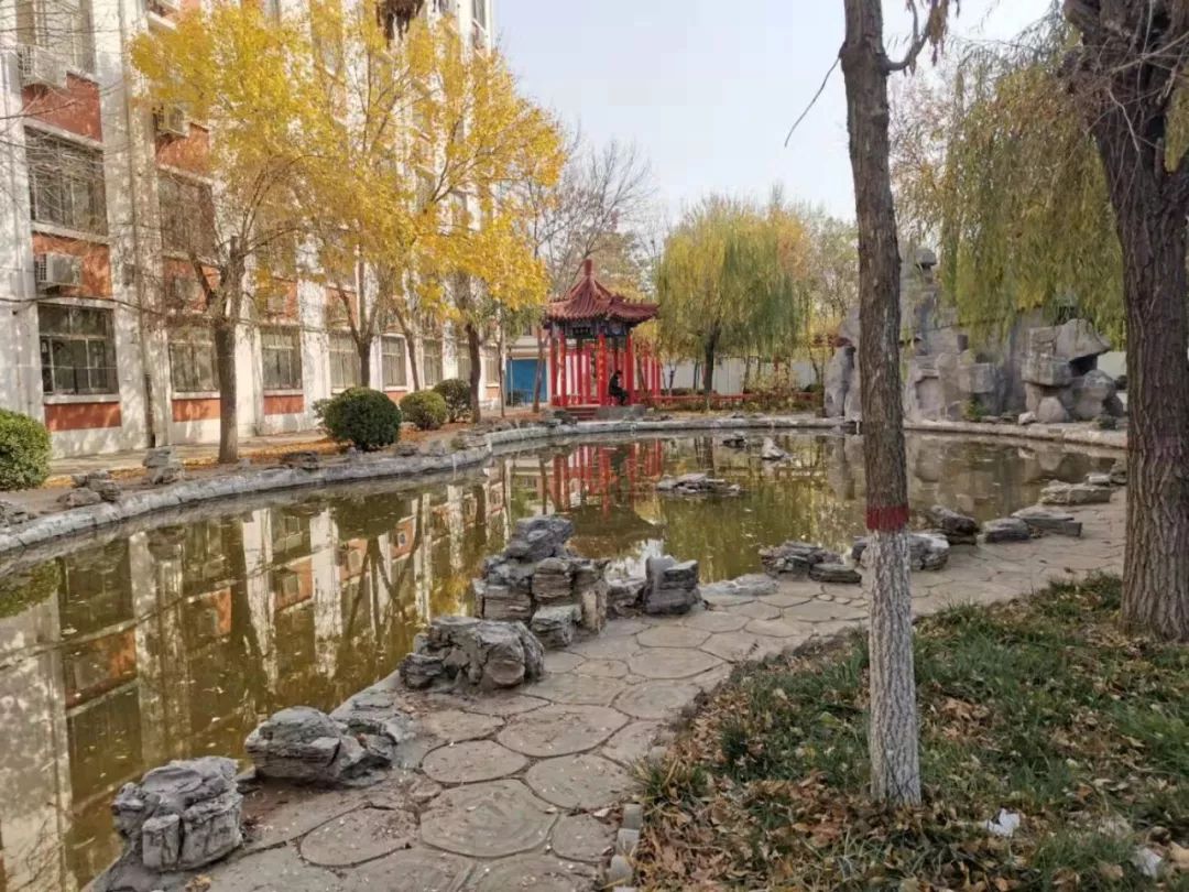 衡水十四中的环境,衡水十四中这两年发展的怎么样