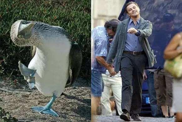 冷知识精选1,苦瓜的冷知识大全