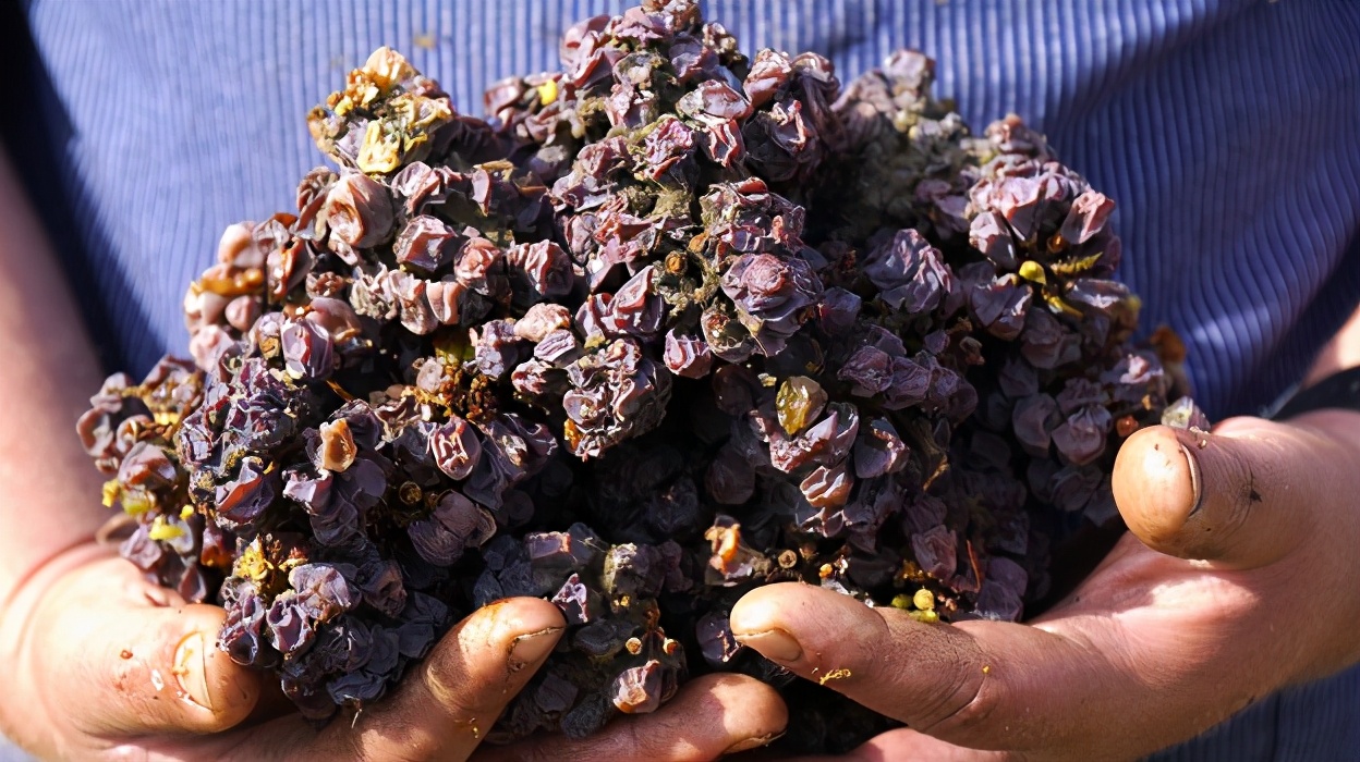 雷司令属于哪种葡萄酒,德国雷司令白葡萄酒六个甜度等级