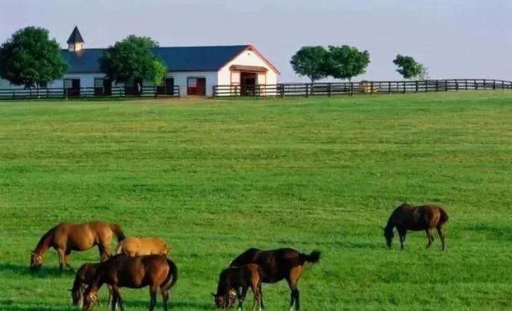 经营家庭农场的10个盈利模式,日本家庭农场经营模式