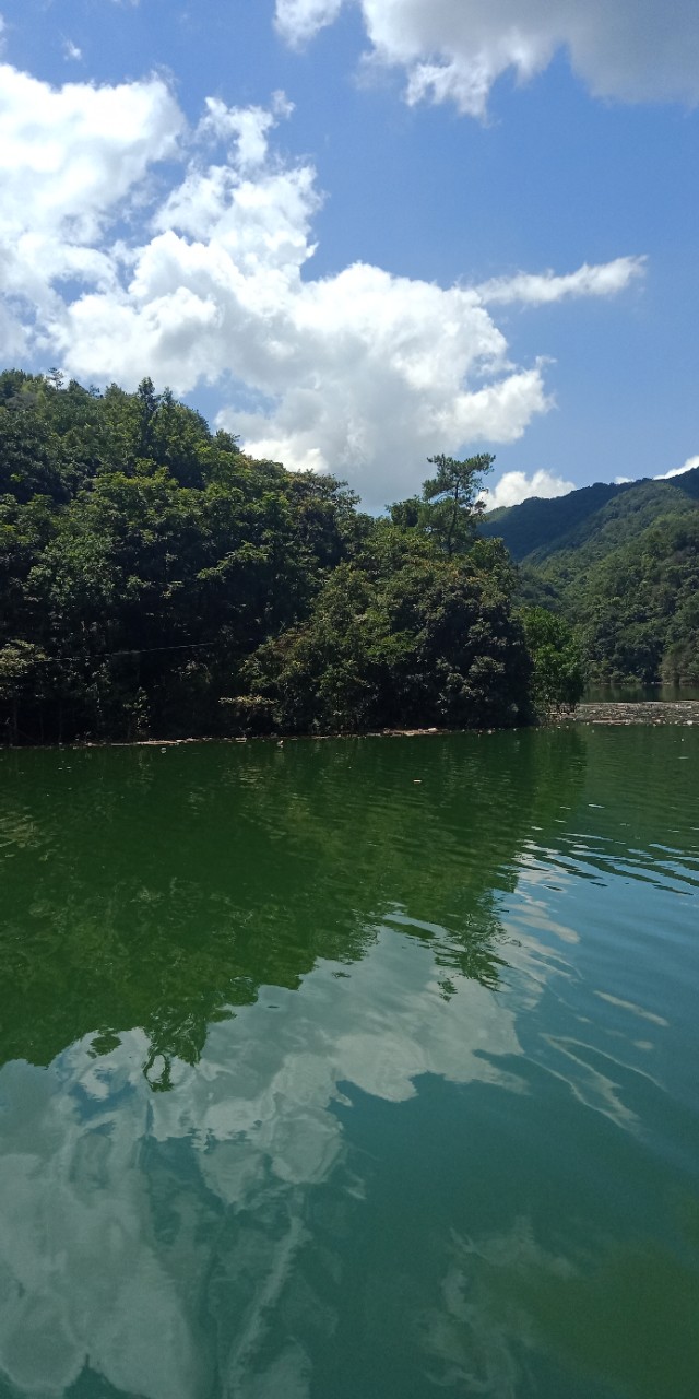 九州文学南京诗社作品,九州文学社作品