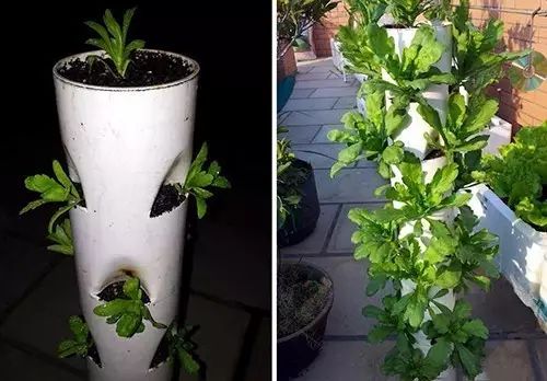 懒人自制花盆的方法,自制可爱的花盆大全