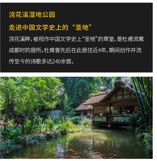 e代理创始人,e代理是什么公司