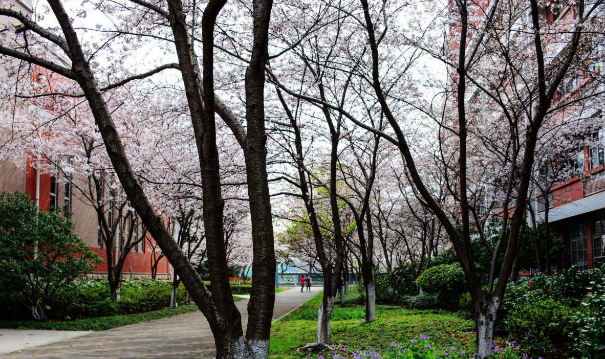 走进名校与学霸面对面,江苏学霸天团天一中学