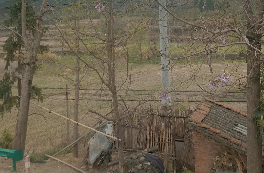 不要失去对生活的勇气,愿你总有重启的勇气