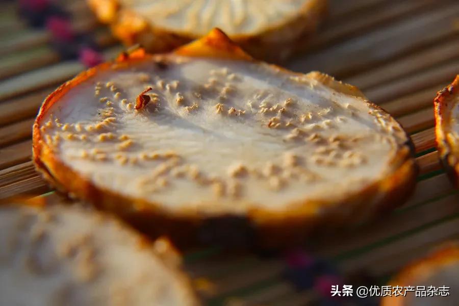 沙漠植物药用价值,沙漠濒危药用植物