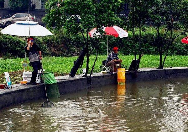 钓鱼直播热度最高,钓鱼直播最火主播