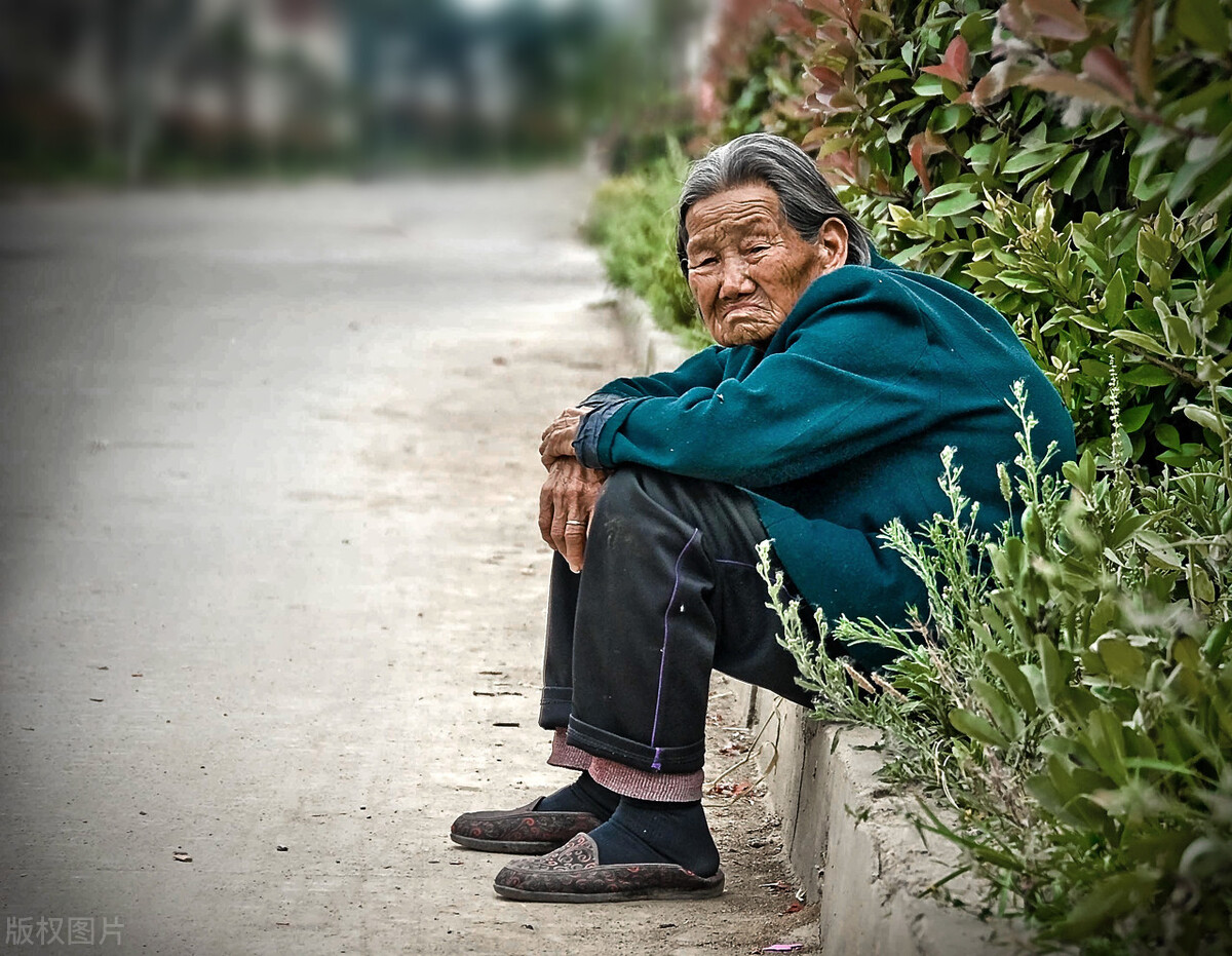 农村大娘卖10年的树多少钱,农村大娘卖特产视频