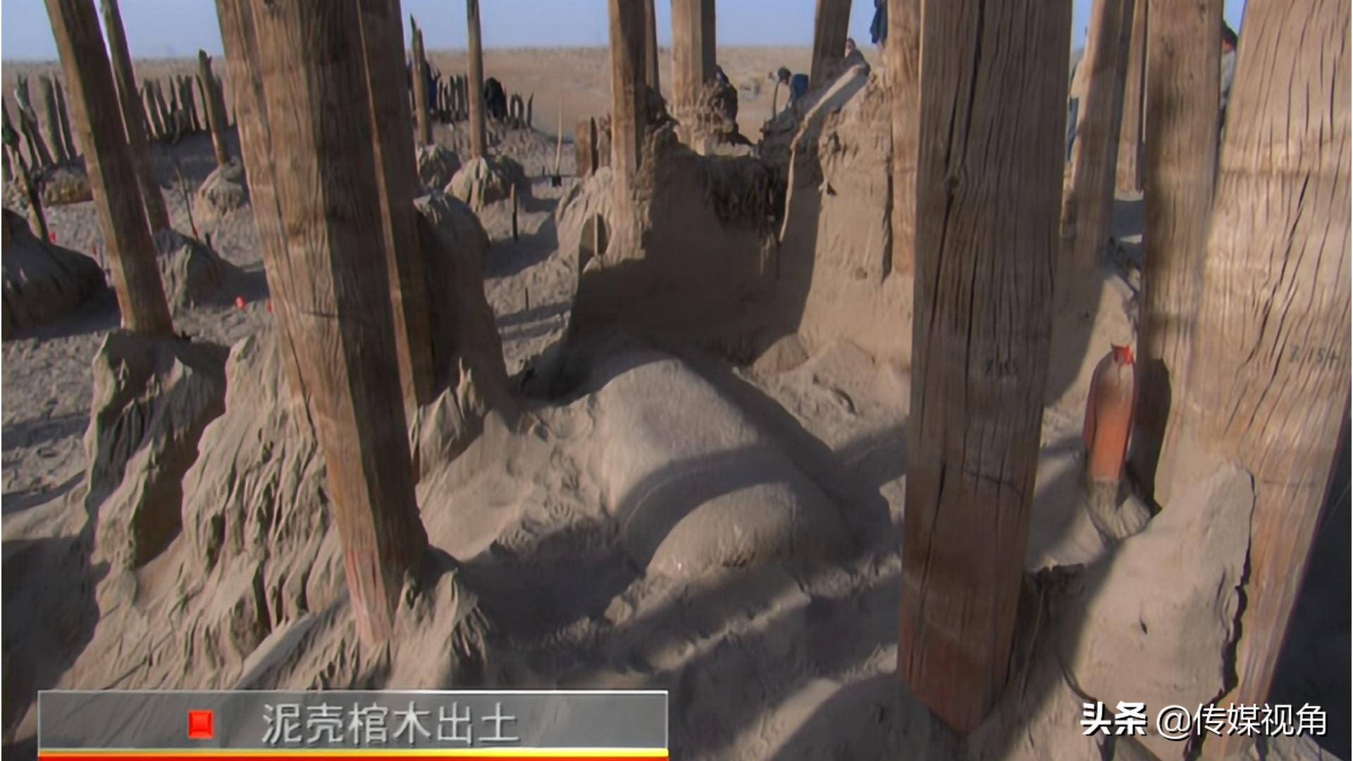 小河墓地所有尸骨样子,小河墓地被正式挖掘