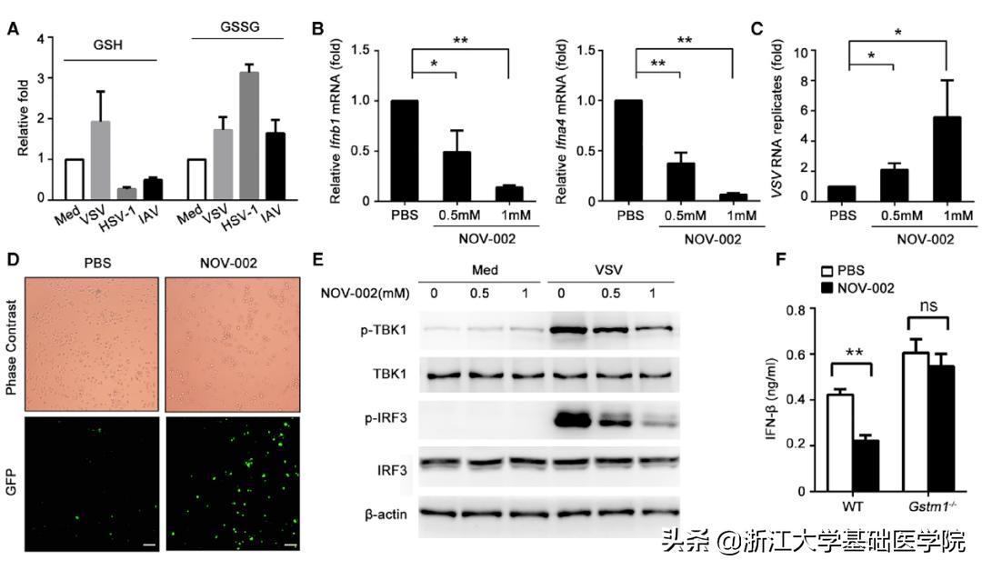 曹雪涛谈免疫药,曹雪涛抗击新冠病毒