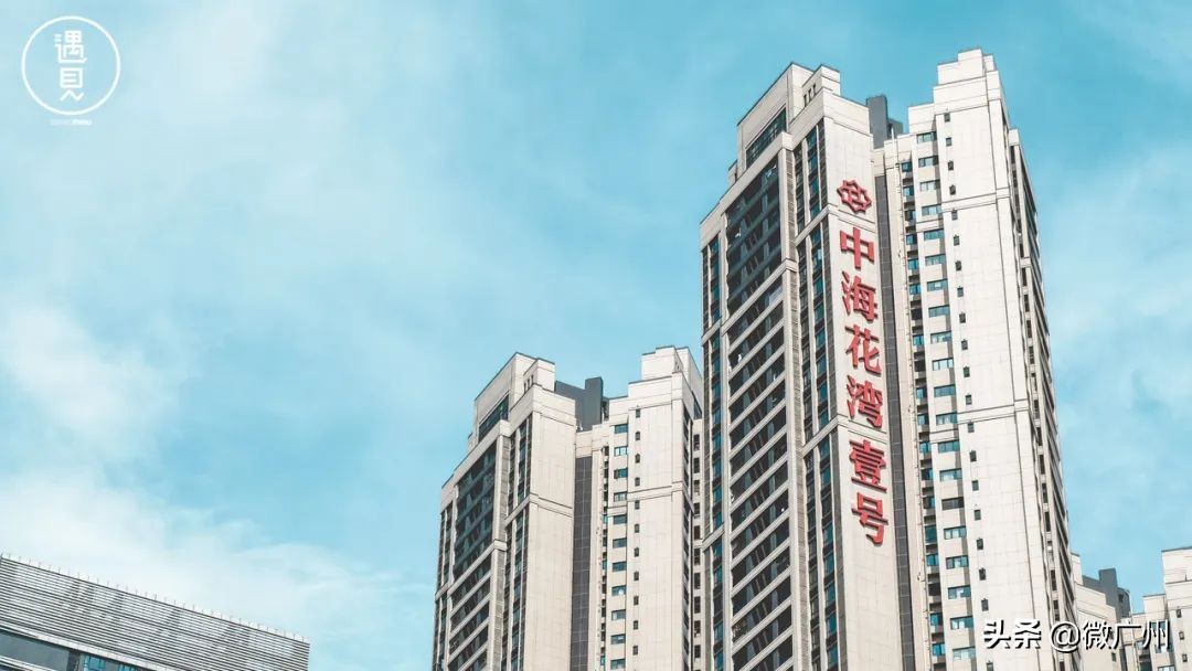 广州芳村未来发展趋势,广州荔湾芳村cbd