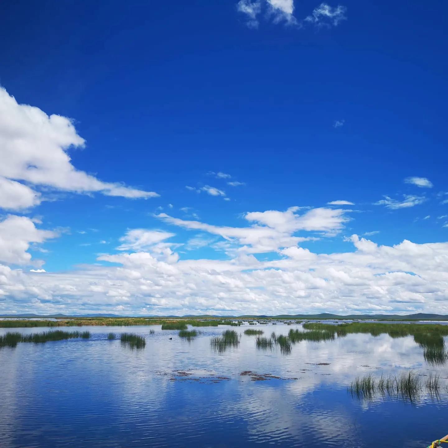 六月中的若尔盖大草原