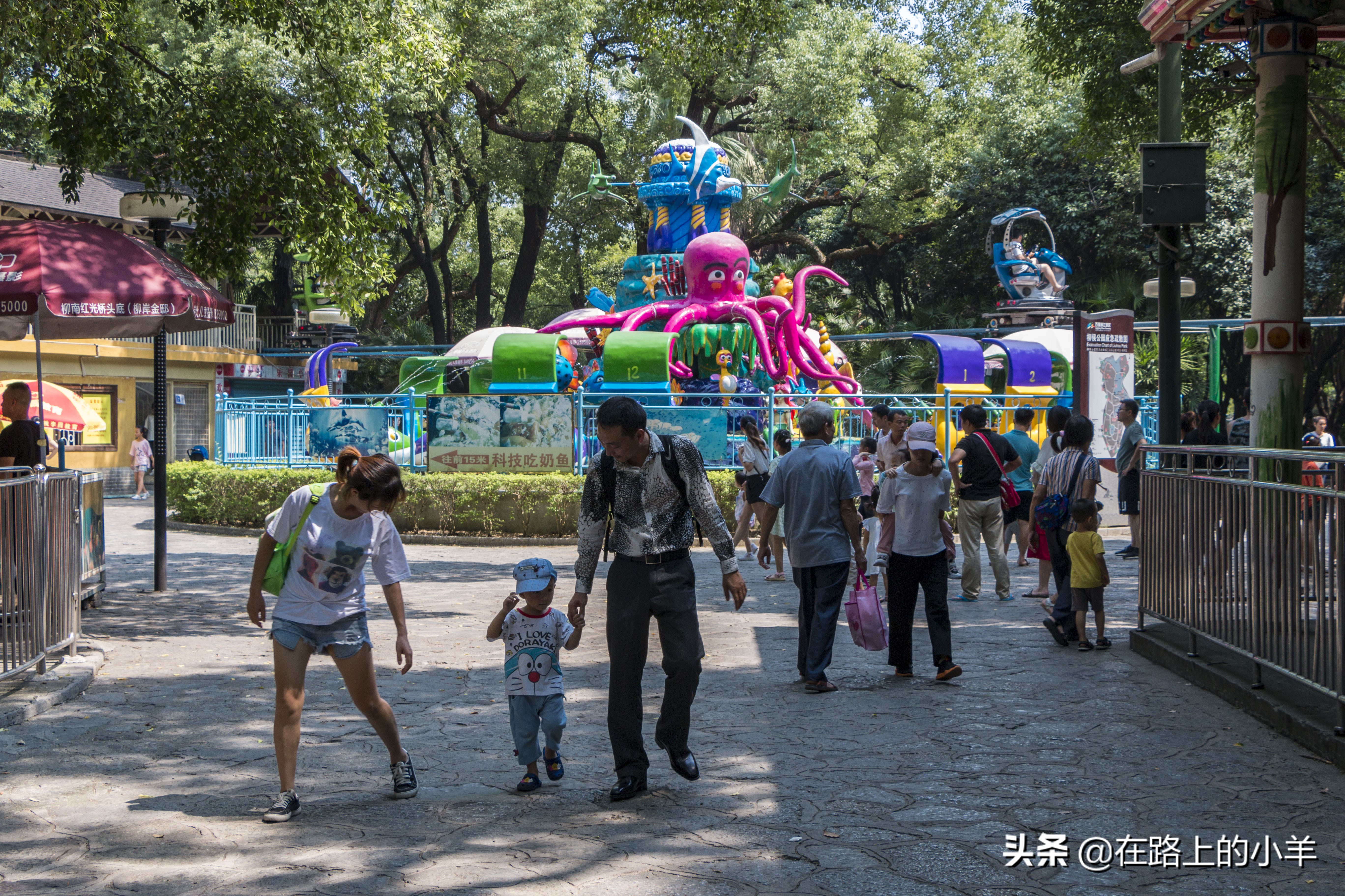 柳州公园游览攻略,柳州国家森林公园攻略