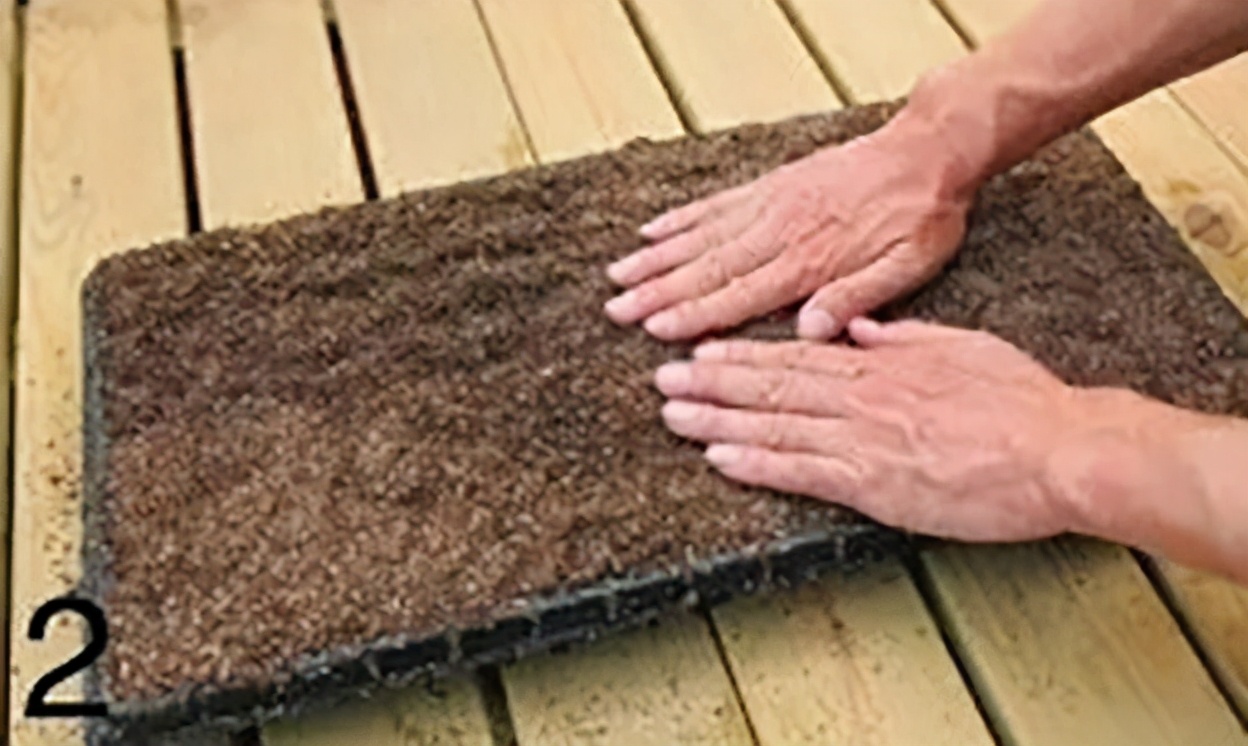 “大米熟了”，不是锅里煮的，而是阳台上栽的，一起来采摘吧