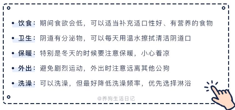 狗狗第一次来姨妈很肿,狗狗第一次来姨妈拉肚子