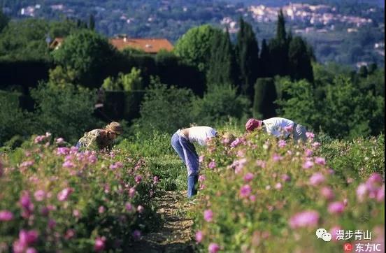 邂逅深秋与美同行,邂逅深秋纯音乐