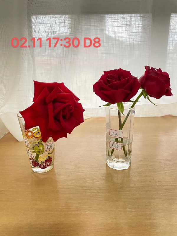 无形决定有形的说法,无形决定有形