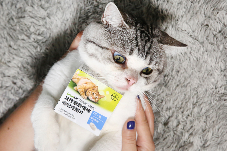 拜宠清驱虫药猫用怎么样,拜耳拜宠清猫驱虫药服用注意事项