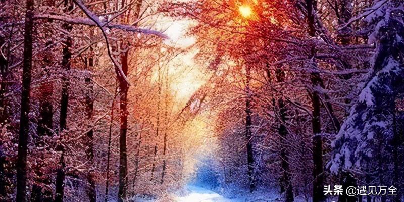 万全云松雾柳庄园钓鱼,云松雾柳庄园