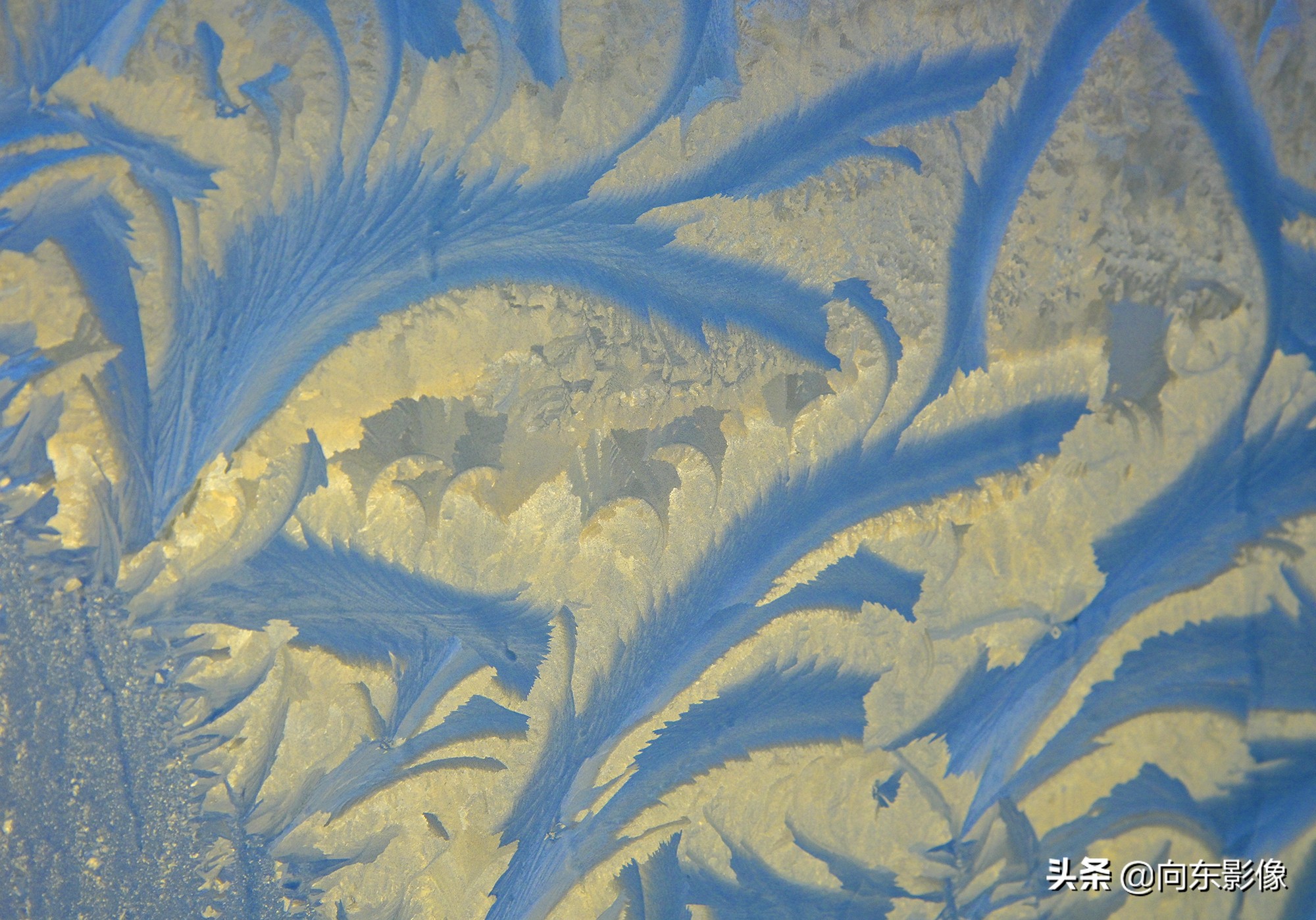 尼康z7一代高感,尼康z7ii4k60p是超采样吗