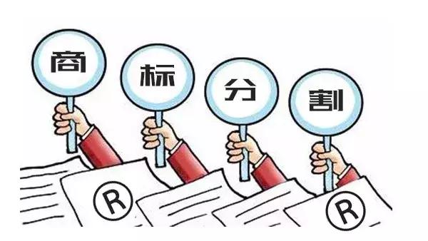 商标被驳回如何挽救保住商标,商标部分驳回必须做分割申请吗