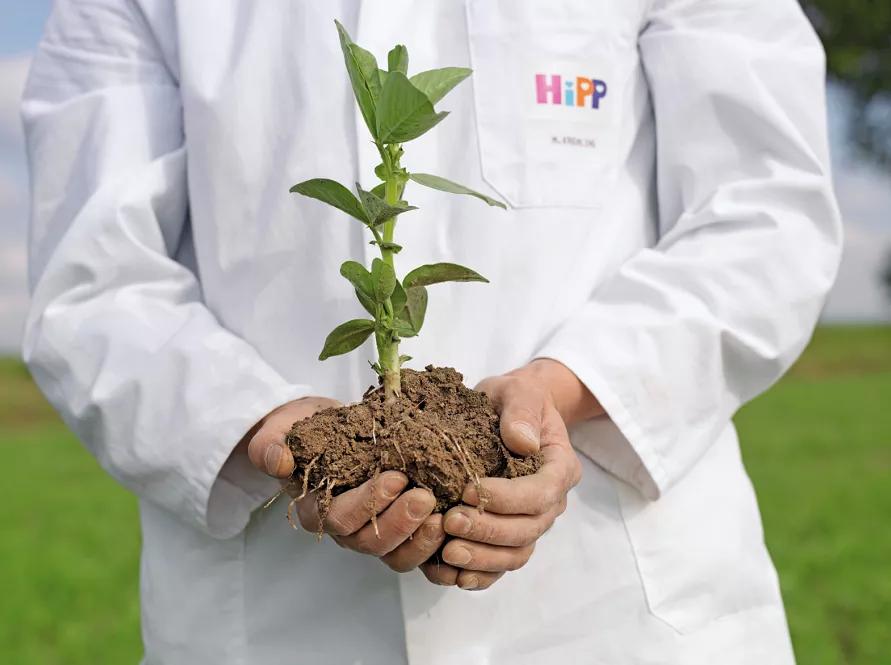 关于喜宝纯境的自然奥秘有哪些,喜宝纯境体验馆