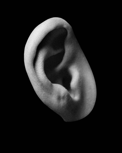 布里斯托尔足球俱乐部,布里斯托尔城俱乐部