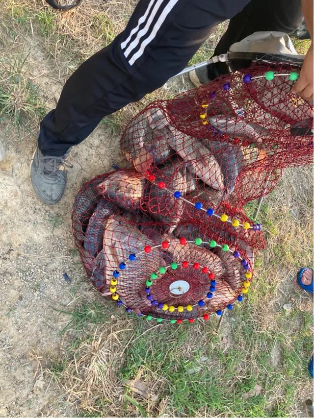 2.7米的鱼竿钓罗非鱼,用5米4的鱼竿钓罗非鱼