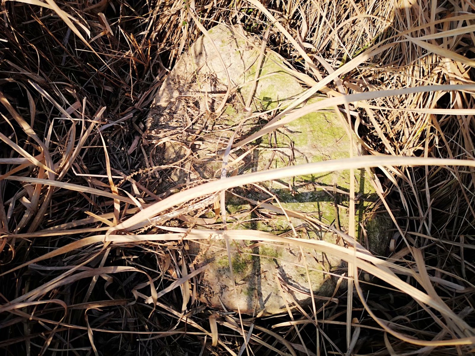 摩托周边旮旯游——探访蚌埠李楼鲁山寺遗址（上）