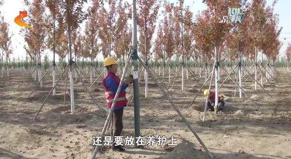 千年秀林最新,千年秀林