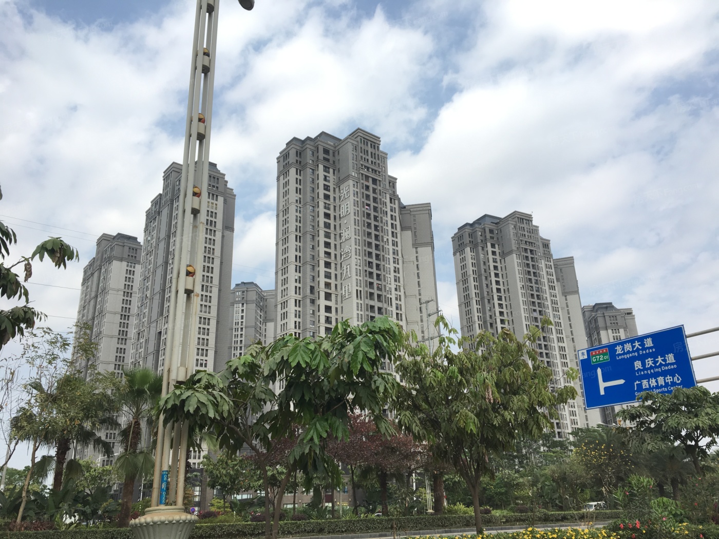 广西一马路上惊现十几条眼镜蛇,广西一马路上惊现十多条眼镜蛇