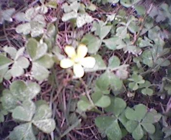 曾经特别火的拍照手机,那些年的拍照手机