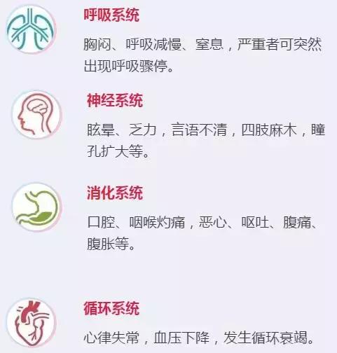 广东人用来煲汤的一种植物,广东煲汤料有哪些植物