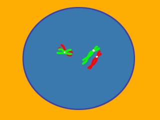 「共63题」强国争上游答题中的“动物世界”专题（最全辨析）