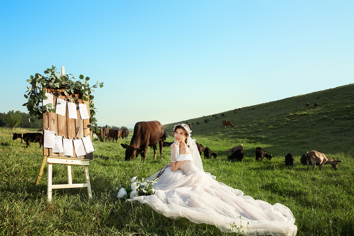 深圳罗湖婚纱摄影哪家好,深圳罗湖婚纱摄影哪个好