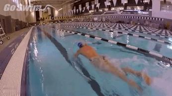 自学游泳怎样让自己游得更专业,游泳爱好者如何成为高手