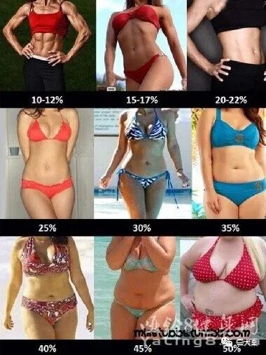 什么是bmi的用途,什么是bmi视频